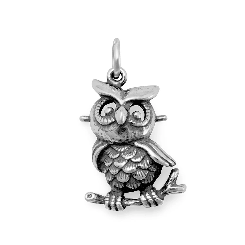 “So HOOTiful!” Oxidized Owl Charm